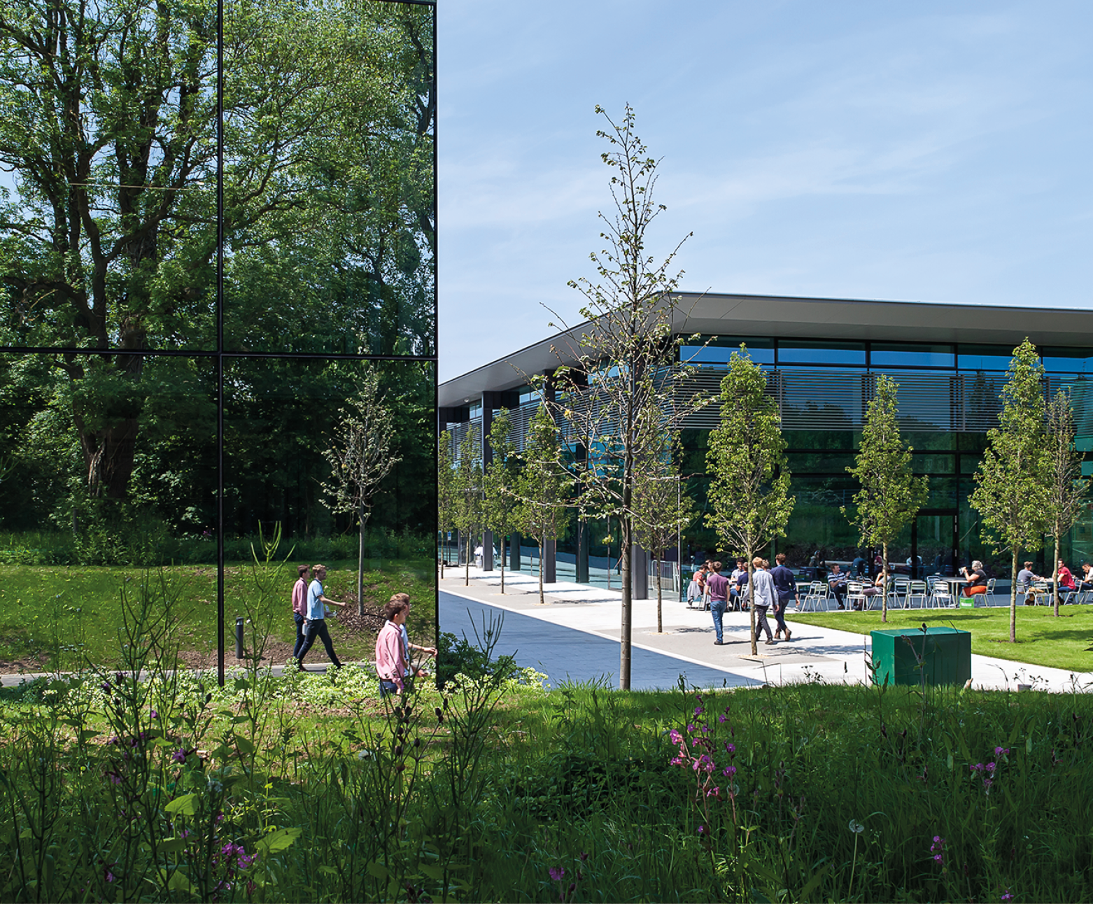 Campus Herodesktop(1800Px460px) 23