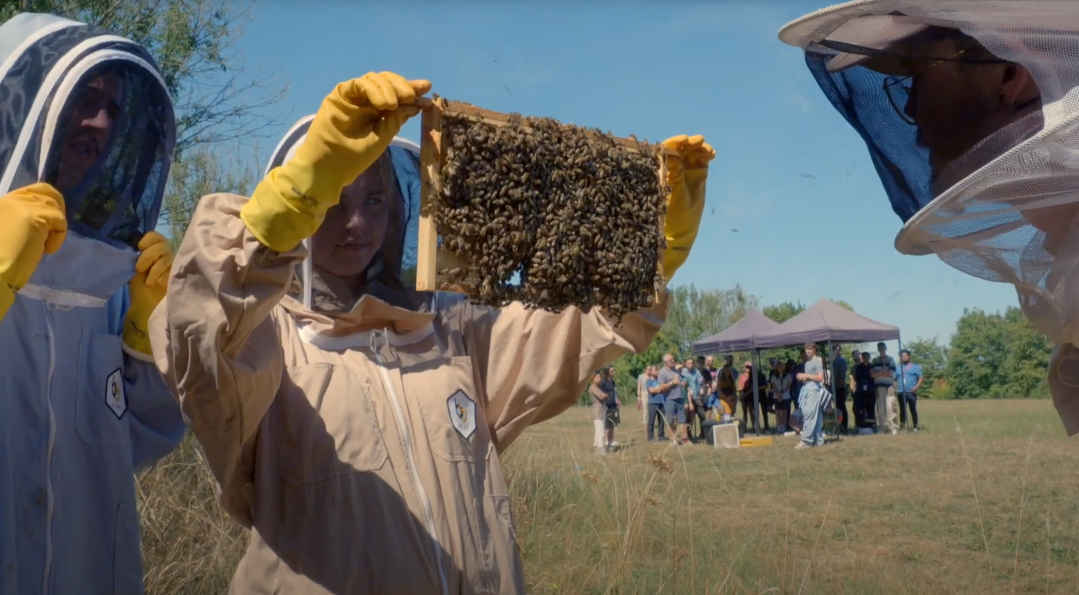 Beekeeping Club